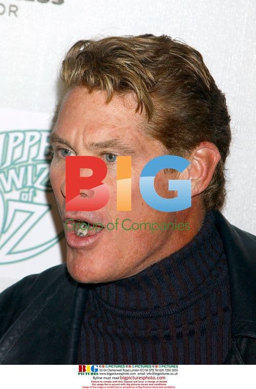 David Hasselhoff at Tribeca Film Festival