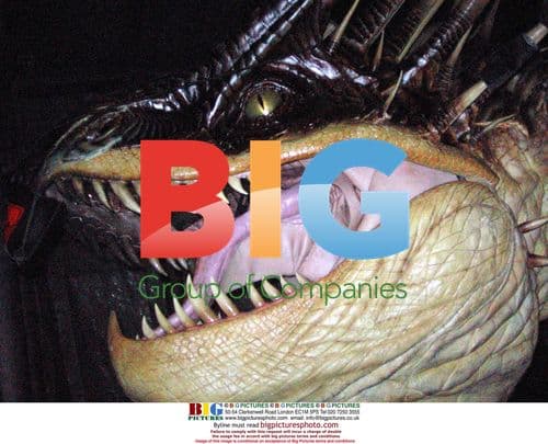 Dragon from 'Harry Potter and the Goblet of Fire'