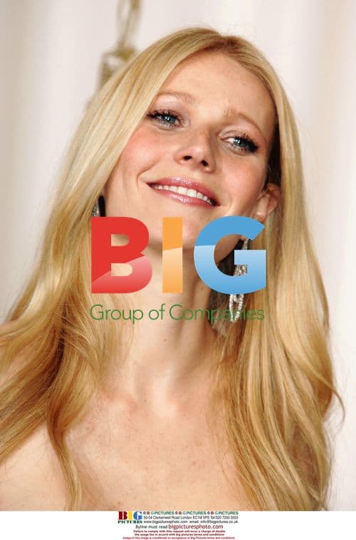 Gwyneth Paltrow at 77th Academy Awards