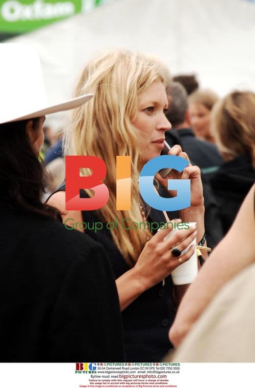 Kate Moss at Glastonbury 2005