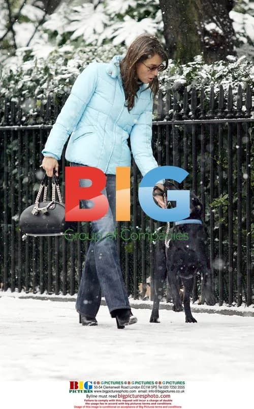 Liz Hurley walking dog in Fulham