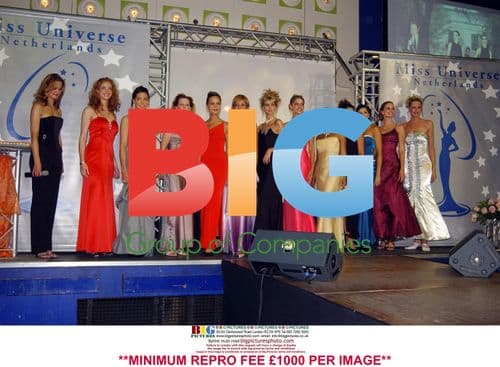 Sandra Krijgsman, Dutch Miss Universe 2004